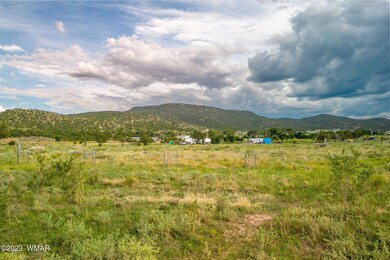 450E4thSt-Eagar-AZ-10