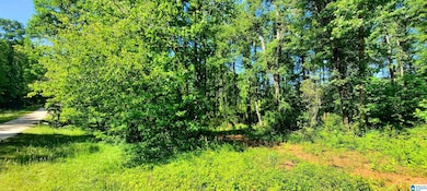 0 Laska Dr unit 20 acres 21420427, Wedowee, AL 36278 - photo 2