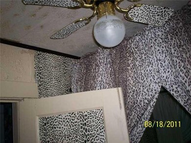 Bathroom YES! AN ANIMAL PRINT BATHROOM!!