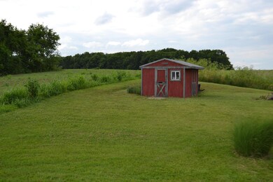 Storage shed