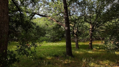 0000 Fm 61, Graham, TX 76450 - photo 7