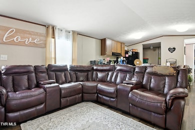 365 Roaming Dr, Chuckey, TN 37641 - photo 6