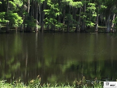 9218 Desiard Trace, Sterlington, LA 71280 - photo 3