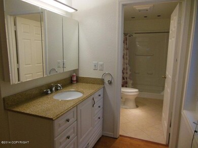 Vanity in Master Suite