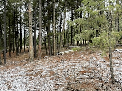 1877 Immel Rd, Chewelah, WA 99109 - photo 7