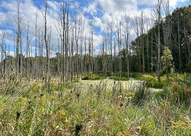 5001 N Richmond Rd, Pierpont, OH 44082 - photo 6