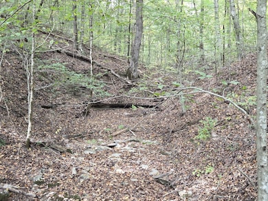 9436 Highway 100, Nashville, TN 37221 - photo 2