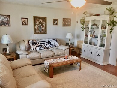 3103 N Woolflower Terrace, Beverly Hills, FL 34465 - photo 4