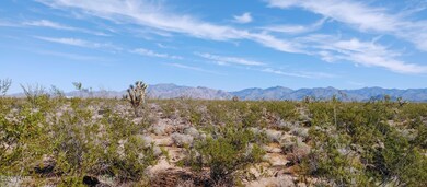 3332 W Yellow Bird Dr, Yucca, AZ 86438 - photo 2