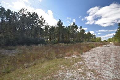 0 Bo Brown Rd unit 8177366, Trinity, TX 75862 - photo 6