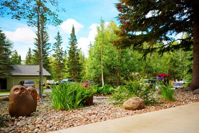 Side Yard
