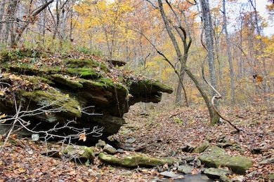 000 TBD Madison 3440, Kingston, AR 72742 - photo 6