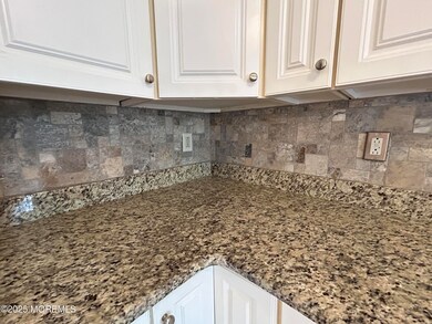 Blacksplash Counter and Cabinets