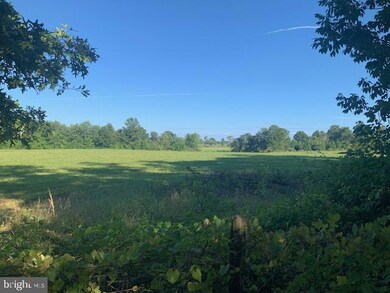 3309 Rectortown Rd, Marshall, VA 20115 - photo 2