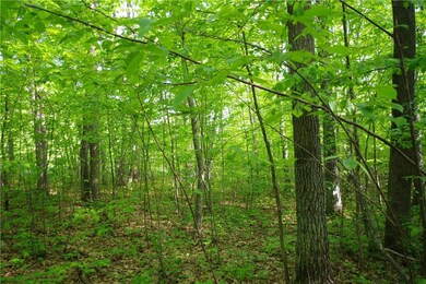 Aerial Map Zoomed Out