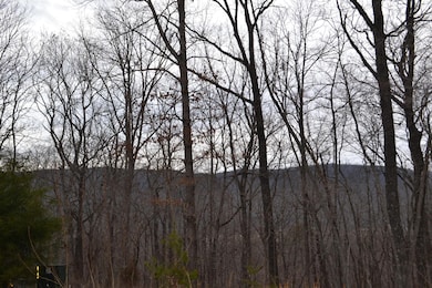 DSC_0241.JPG