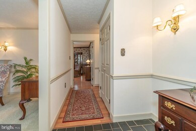 207 Circle View Rd, Luray, VA 22835 - photo 5