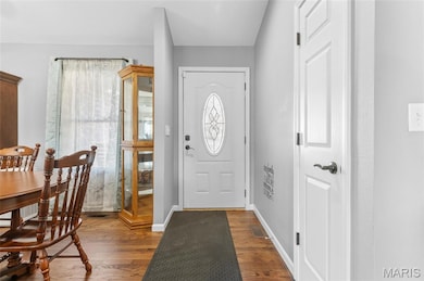 204 Aspen Point, Glen Carbon, IL 62034 - photo 4