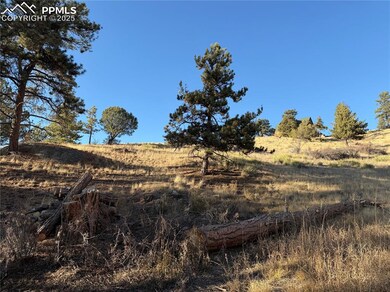 71 Elkhorn Cir, Florissant, CO 80816 - photo 6