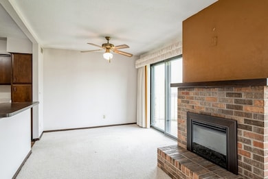electric fireplace
