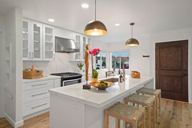 742 Snapdragon St, Encinitas, CA 92024 - photo 4