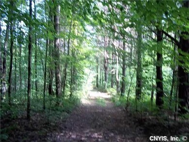 Land. Road way through the property.