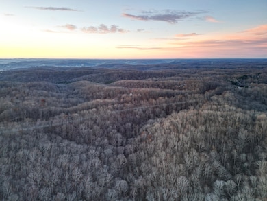 5010 Chinkapin Ln, Franklin, TN 37069 - photo 2