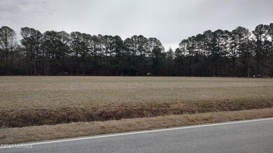 000 Green Pasture Rd, Rocky Mount, NC 27801 - photo 2