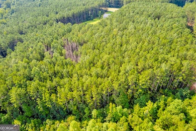 0 Moonlight Dr unit 10598549, Martin, GA 30557 - photo 6