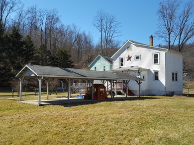 hoyt back yard 2 no snow