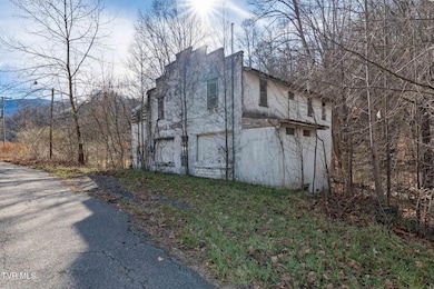 6194 U S 19e, Hampton, TN 37658 - photo 3