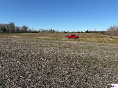 190 Owl Creek Dr, Vine Grove, KY 40175 - photo 4