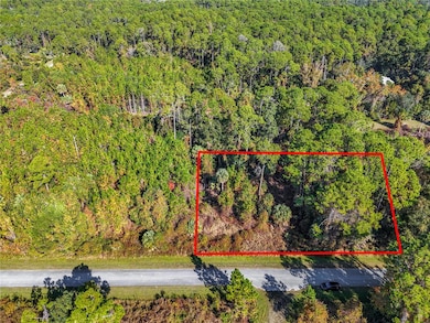 810 Paradise Blvd, Georgetown Cove, FL 32139 - photo 2