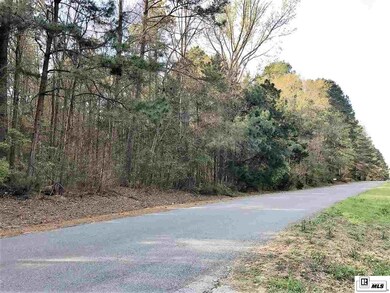 000 Whitehead Rd, Choudrant, LA 71227 - photo 4