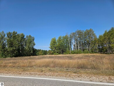 1001 El Camino Grande unit 28-30, Weidman, MI 48893 - photo 5