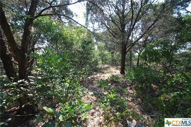 16191 Brazos Ct, Temple, TX 76502 - photo 7