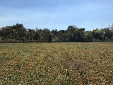 Tract 1 Franks Ferry Rd, Sparta, TN 38583 - photo 2