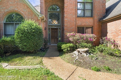 5045 Saint Andrews Cove, Olive Branch, MS 38654 - photo 7