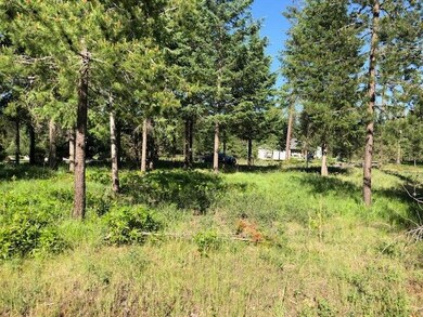 LOT 1 Hogans Way, Chewelah, WA 99109 - photo 3