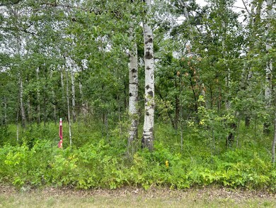 2008 S Main St, Badger, MN 56714 - photo 3