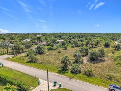 0 10th St NE unit MFRTB8430793, Naples, FL 34120 - photo 4