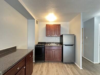 7333 N Ridge Blvd unit 211, Chicago, IL 60645 - photo 3