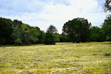 TBD W Fm 71, Talco, TX 75487 - photo 6