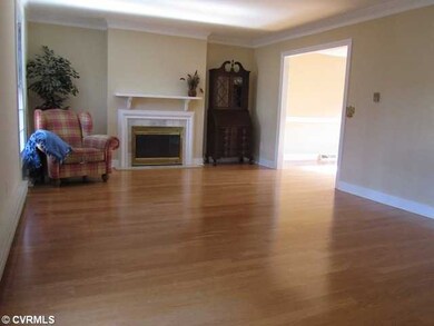 Living Room - Fireplace can be natural gas or wood