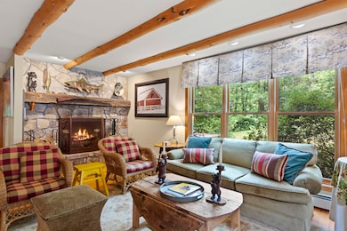 37 Burnt Hill Rd, Winhall, VT 05340 - photo 5