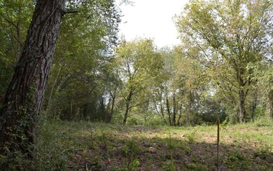 Additional View