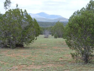 216 Off Camp Rd, Ash Fork, AZ 86320 - photo 3