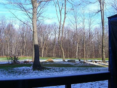 View. 12th Fairway