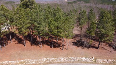 340 Lookout View Dr, Jasper, TN 37347 - photo 6