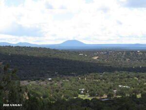 20210905074634017176000000-o